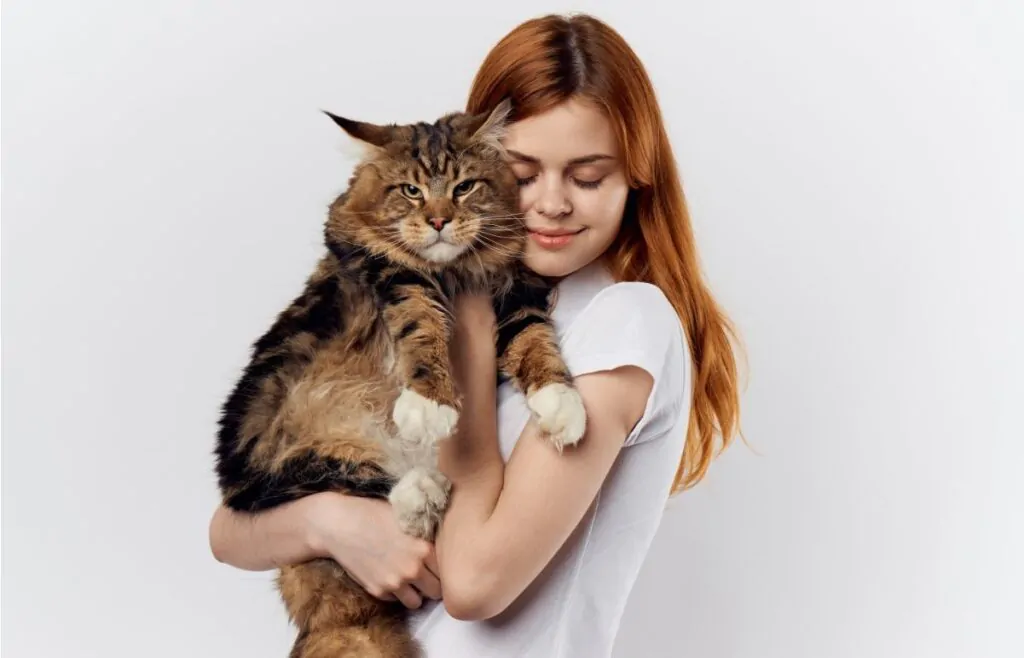 A young woman hugging a tabby maine coon.